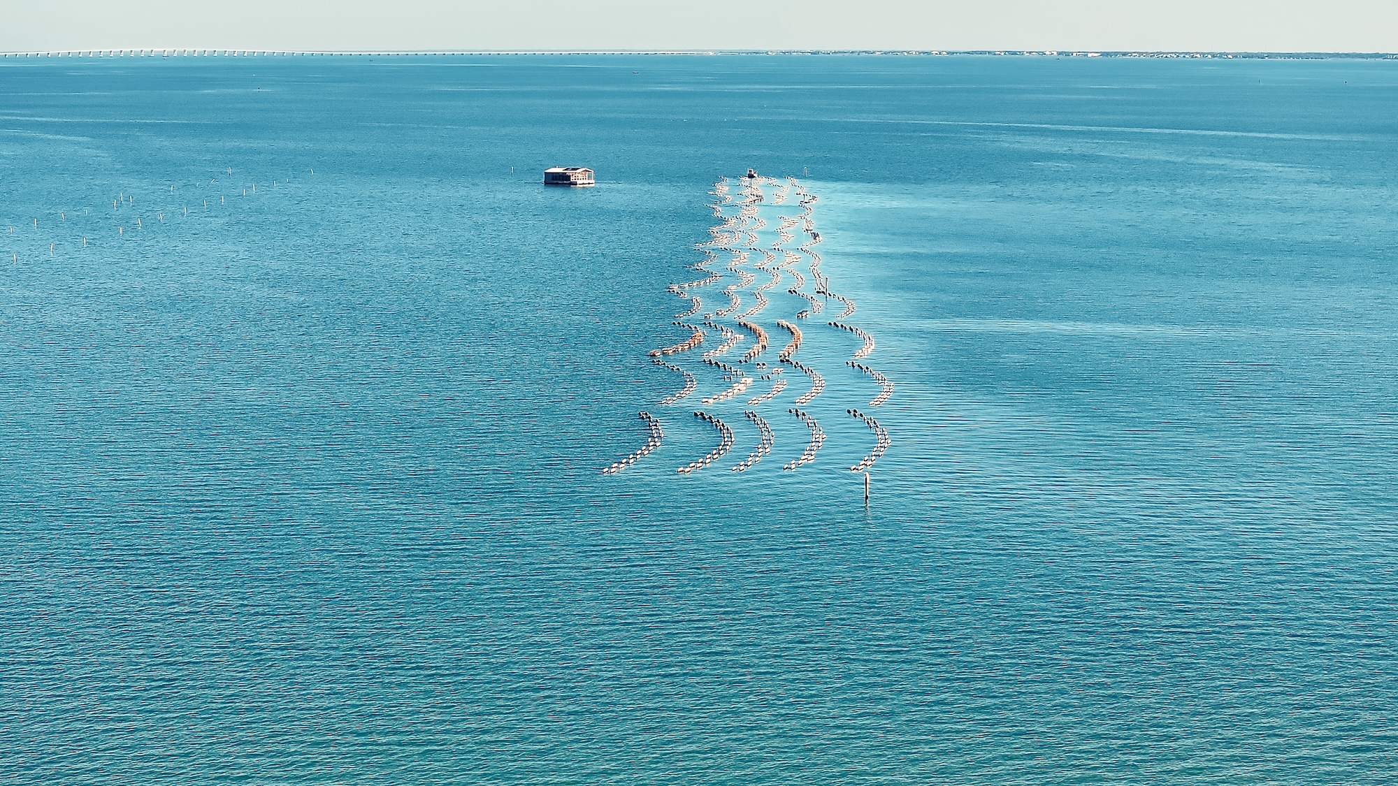 Coastal Preservation and Restoration Launches to Restore Texas Oyster Reefs and Strengthen Coastal Resilience